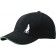 color:black/lime-green