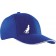 color:royal/white